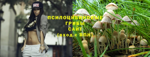 дурь Абаза
