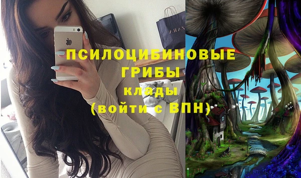 дурь Абаза