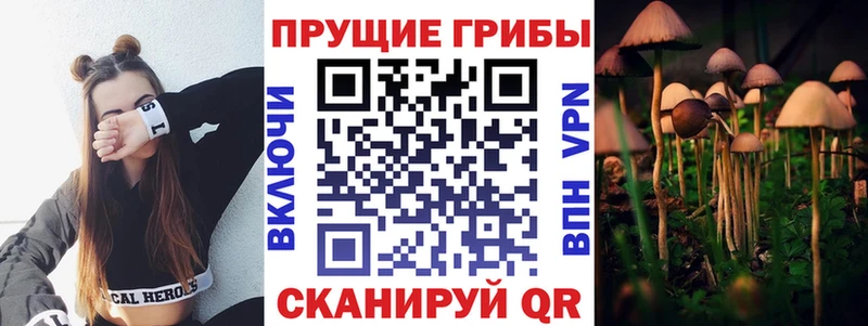 купить наркотики цена  Абаза  Галлюциногенные грибы Psilocybine cubensis 